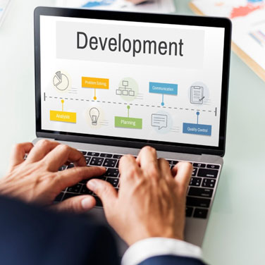 Custom Web Development